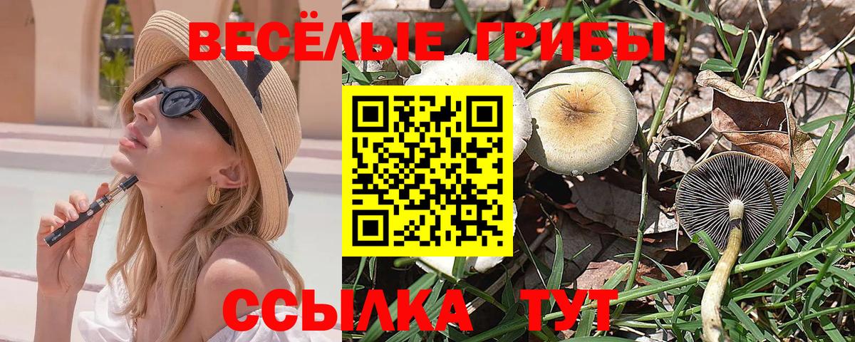 Галлюциногенные грибы Cubensis Норильск
