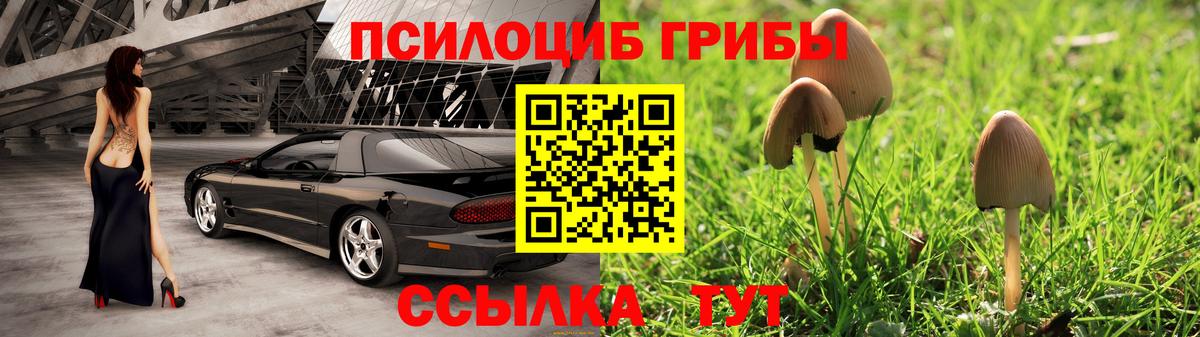 Галлюциногенные грибы Psilocybe  Вход с VPN  Норильск  Галлюциногенные грибы MAGIC MUSHROOMS 